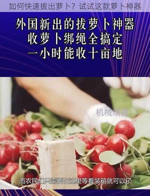 如何快速拔出萝卜？试试这款萝卜神器