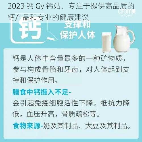 2023 钙 Gy 钙站，专注于提供高品质的钙产品和专业的健康建议