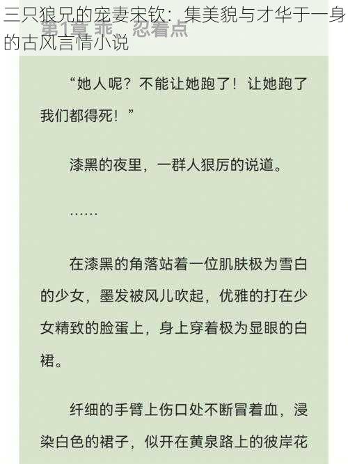 三只狼兄的宠妻宋钦：集美貌与才华于一身的古风言情小说