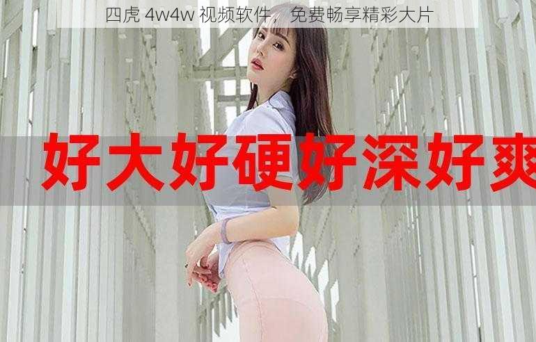 四虎 4w4w 视频软件，免费畅享精彩大片