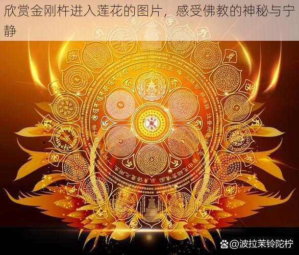 欣赏金刚杵进入莲花的图片，感受佛教的神秘与宁静