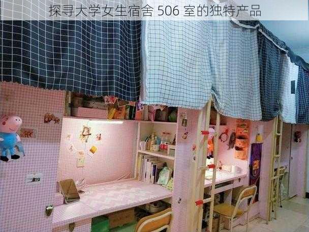 探寻大学女生宿舍 506 室的独特产品