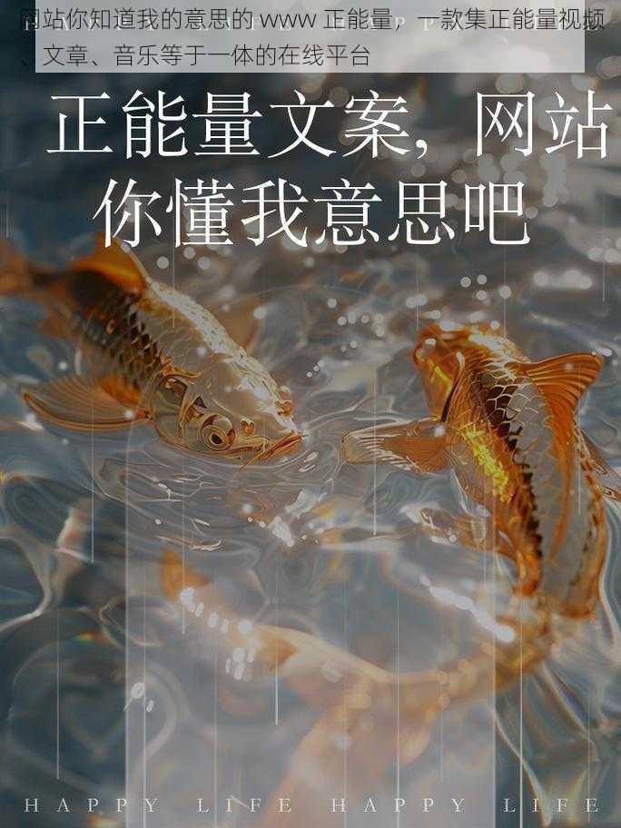 网站你知道我的意思的 www 正能量，一款集正能量视频、文章、音乐等于一体的在线平台