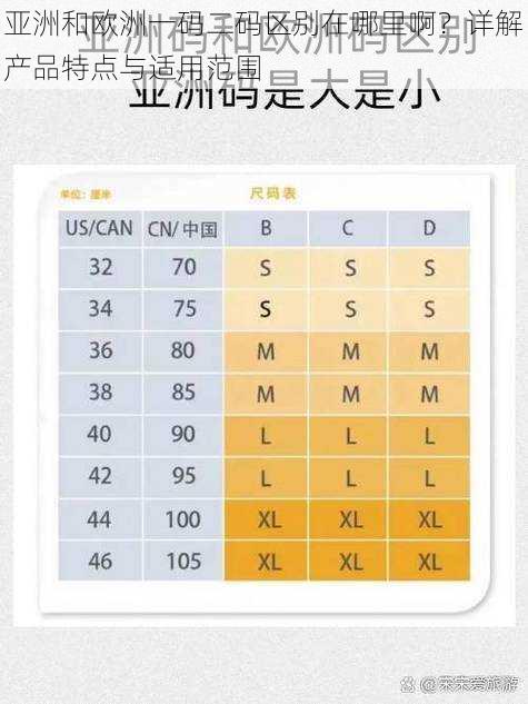 亚洲和欧洲一码二码区别在哪里啊？详解产品特点与适用范围