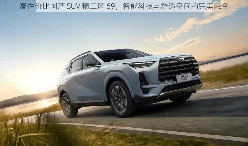 高性价比国产 SUV 精二区 69，智能科技与舒适空间的完美融合