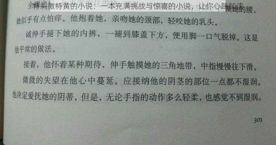 特刺激特黄的小说：一本充满挑战与惊喜的小说，让你心跳加速