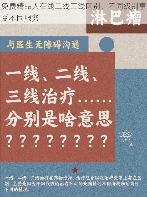 免费精品人在线二线三线区别，不同级别享受不同服务