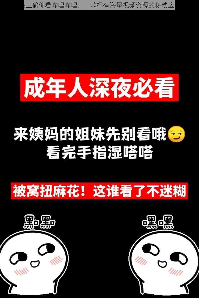 晚上偷偷看哔哩哔哩，一款拥有海量视频资源的移动应用