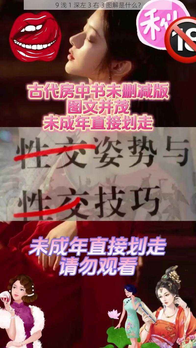 9 浅 1 深左 3 右 3 图解是什么？