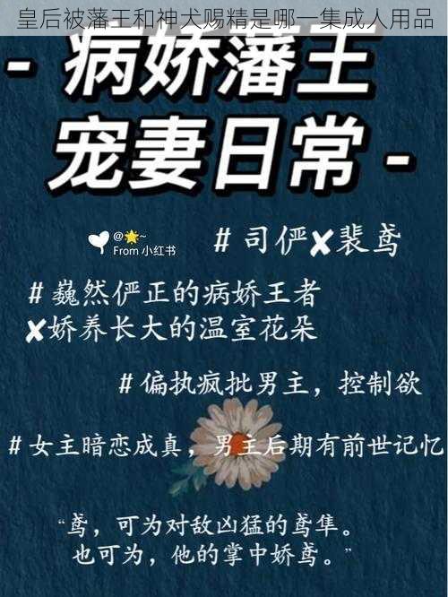 皇后被藩王和神犬赐精是哪一集成人用品