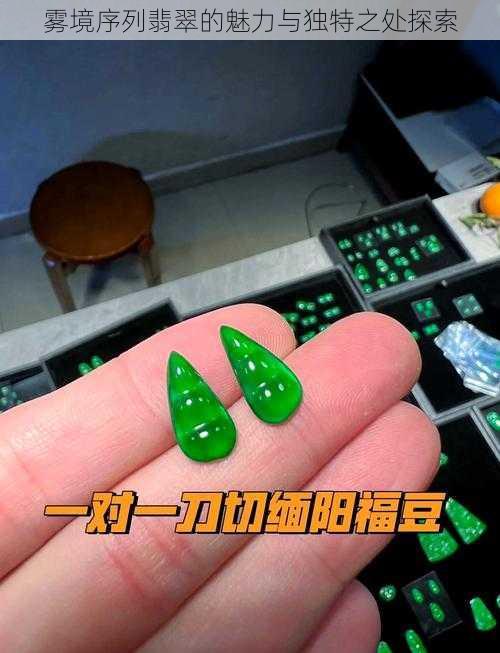 雾境序列翡翠的魅力与独特之处探索