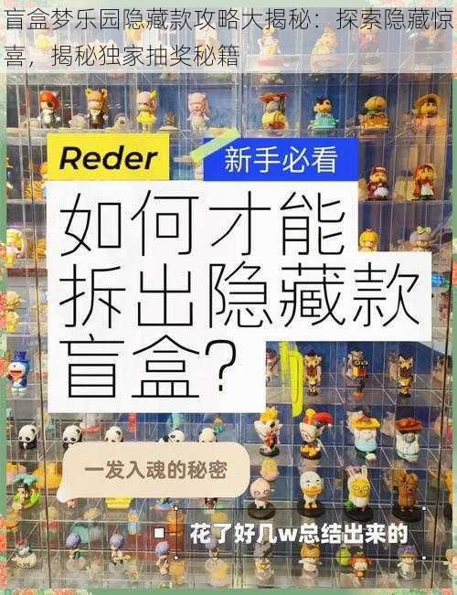 盲盒梦乐园隐藏款攻略大揭秘：探索隐藏惊喜，揭秘独家抽奖秘籍