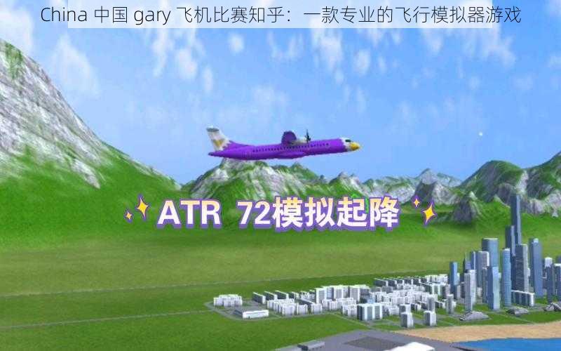 China 中国 gary 飞机比赛知乎：一款专业的飞行模拟器游戏