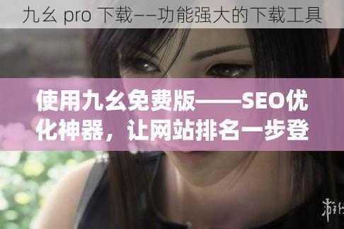 九幺 pro 下载——功能强大的下载工具