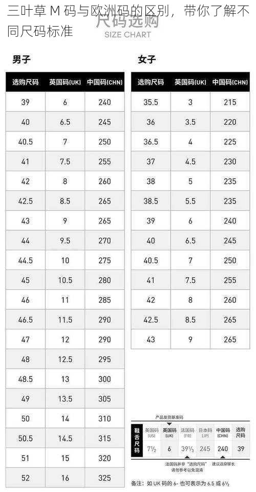 三叶草 M 码与欧洲码的区别，带你了解不同尺码标准