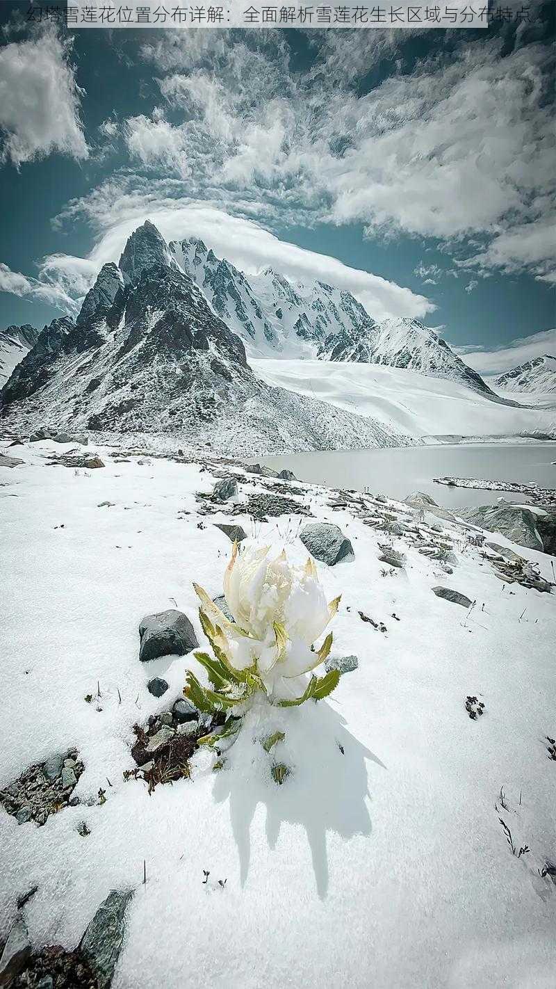 幻塔雪莲花位置分布详解：全面解析雪莲花生长区域与分布特点