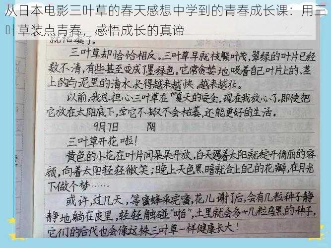 从日本电影三叶草的春天感想中学到的青春成长课：用三叶草装点青春，感悟成长的真谛