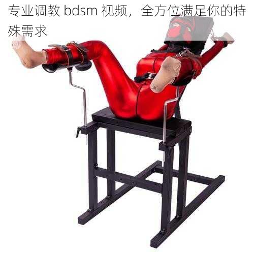 专业调教 bdsm 视频，全方位满足你的特殊需求