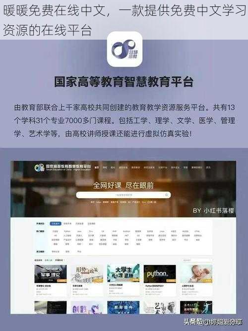 暖暖免费在线中文，一款提供免费中文学习资源的在线平台