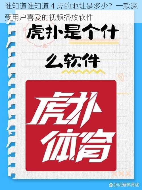 谁知道谁知道 4 虎的地址是多少？一款深受用户喜爱的视频播放软件