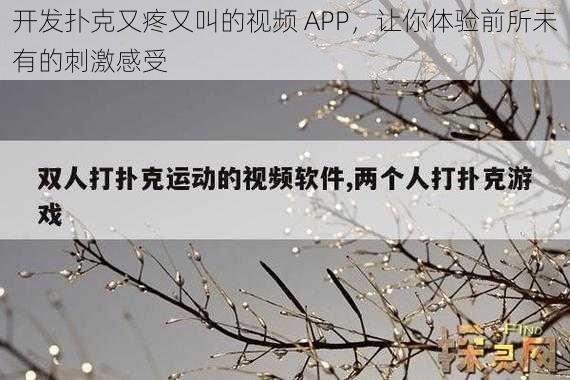 开发扑克又疼又叫的视频 APP，让你体验前所未有的刺激感受