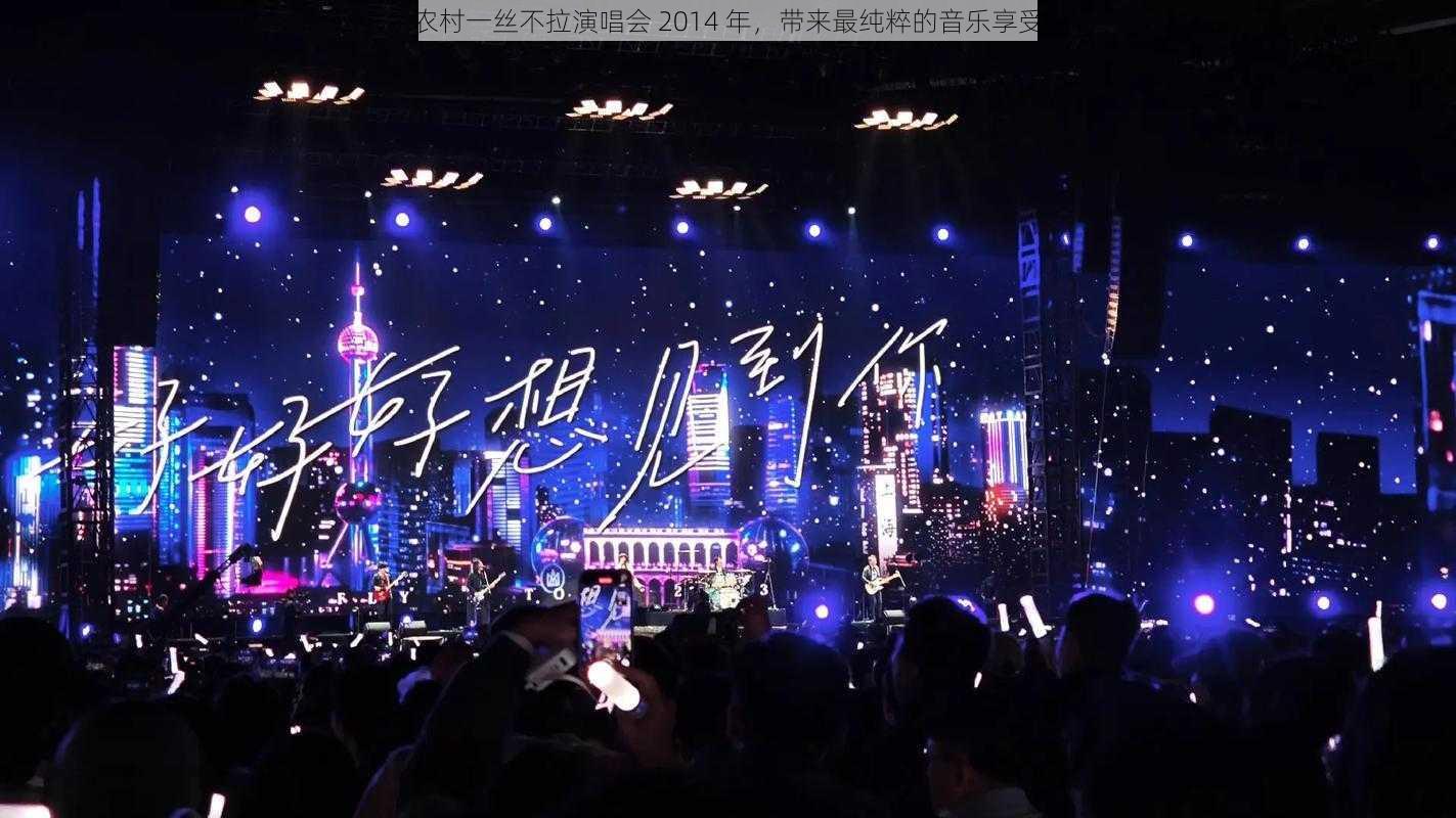 农村一丝不拉演唱会 2014 年，带来最纯粹的音乐享受