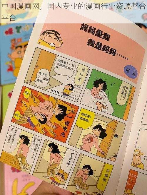 中国漫画网，国内专业的漫画行业资源整合平台