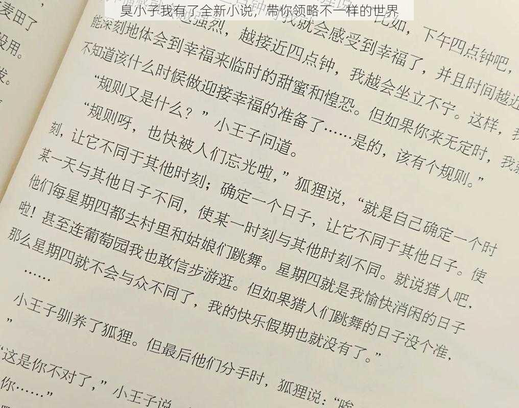 臭小子我有了全新小说，带你领略不一样的世界