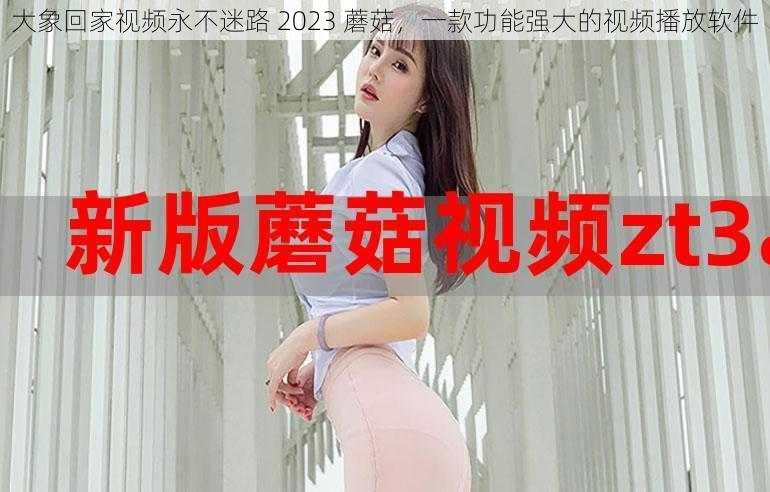 大象回家视频永不迷路 2023 蘑菇，一款功能强大的视频播放软件