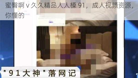 蜜臀啊 v 久久精品人人槡 91，成人视频资源，你懂的