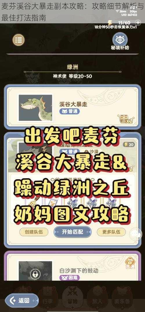 麦芬溪谷大暴走副本攻略：攻略细节解析与最佳打法指南