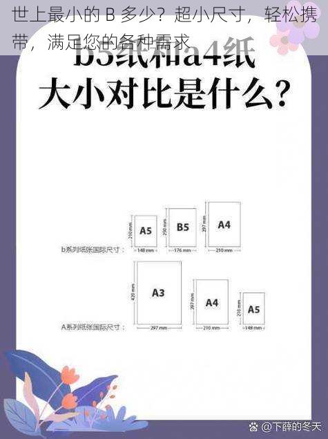 世上最小的 B 多少？超小尺寸，轻松携带，满足您的各种需求