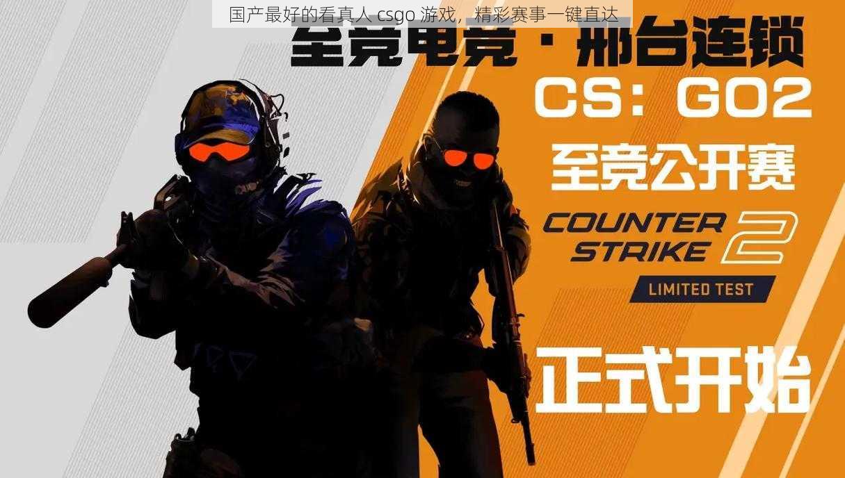 国产最好的看真人 csgo 游戏，精彩赛事一键直达