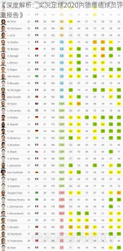 《深度解析：实况足球2020内德维德球员评测报告》