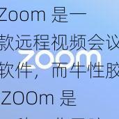 Zoom 是一款远程视频会议软件，而牛性胶 ZOOm 是一种工业用胶