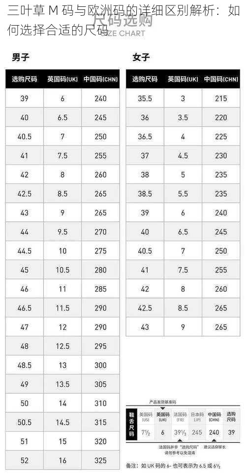 三叶草 M 码与欧洲码的详细区别解析：如何选择合适的尺码