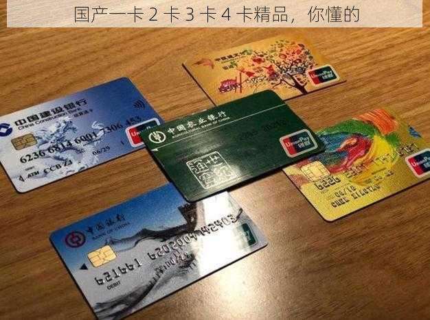 国产一卡 2 卡 3 卡 4 卡精品，你懂的