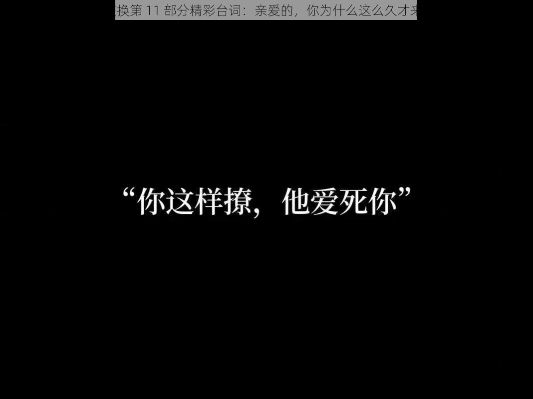 敌伦交换第 11 部分精彩台词：亲爱的，你为什么这么久才来找我？