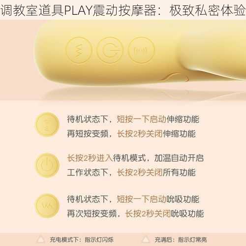 调教室道具PLAY震动按摩器：极致私密体验