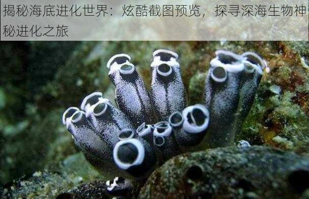 揭秘海底进化世界：炫酷截图预览，探寻深海生物神秘进化之旅