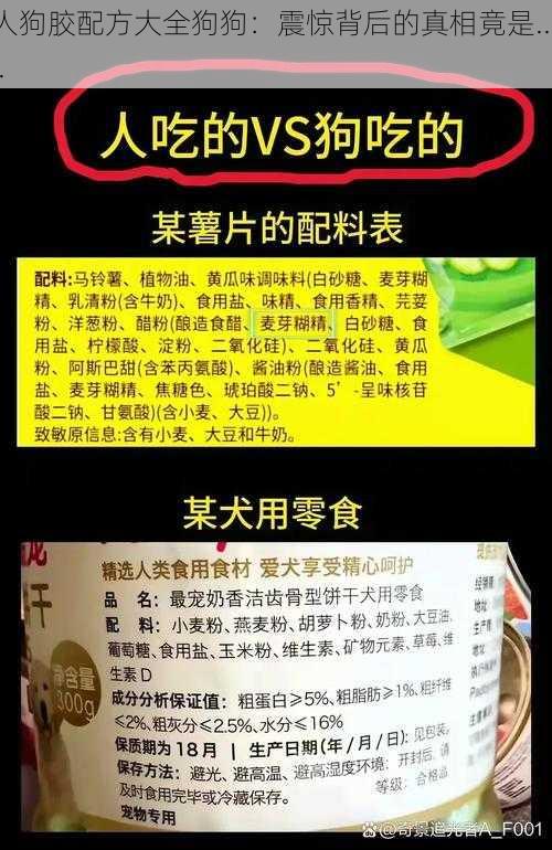 人狗胶配方大全狗狗：震惊背后的真相竟是......