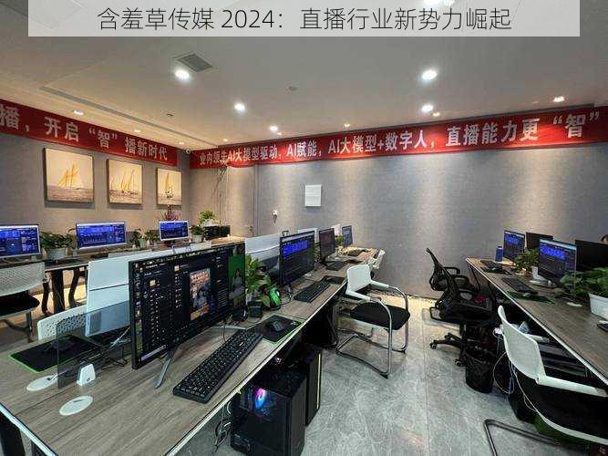 含羞草传媒 2024：直播行业新势力崛起