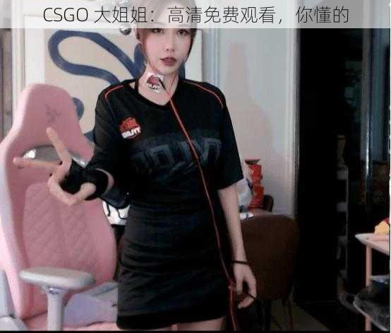 CSGO 大姐姐：高清免费观看，你懂的