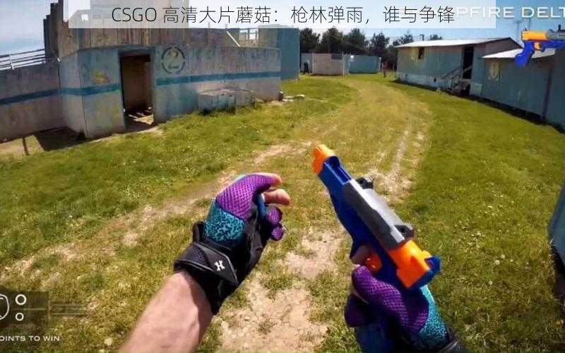 CSGO 高清大片蘑菇：枪林弹雨，谁与争锋