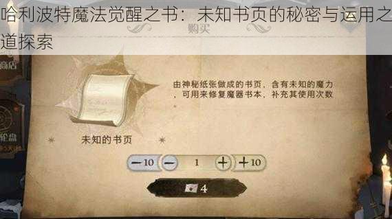 哈利波特魔法觉醒之书：未知书页的秘密与运用之道探索