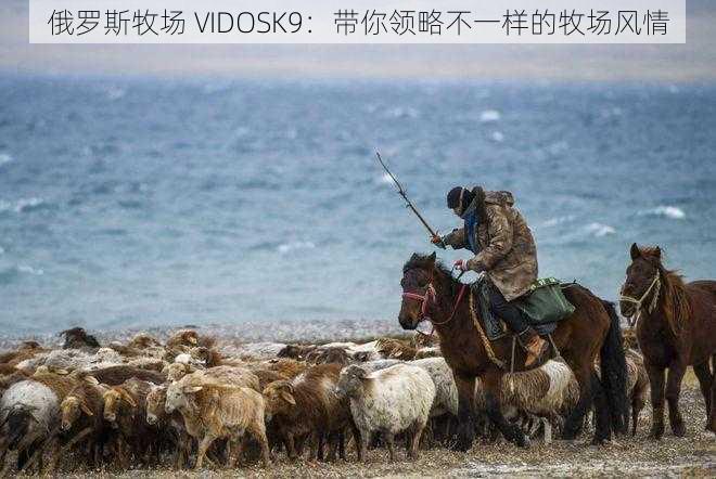 俄罗斯牧场 VIDOSK9：带你领略不一样的牧场风情