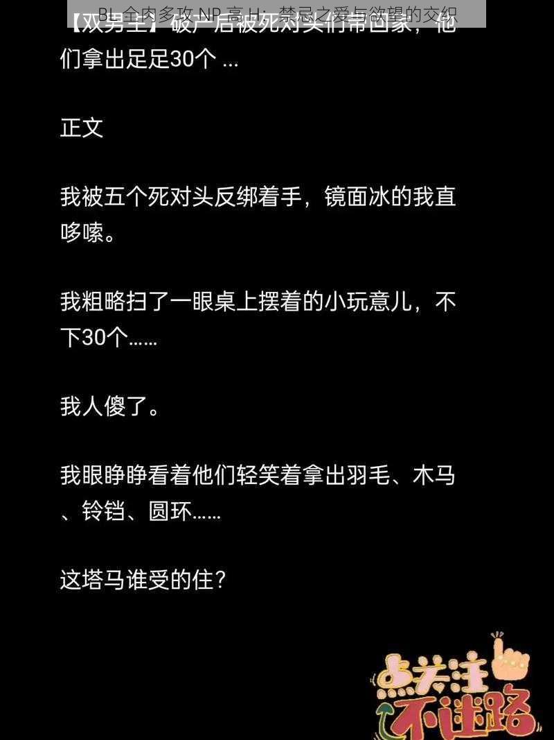 BL 全肉多攻 NP 高 H：禁忌之爱与欲望的交织