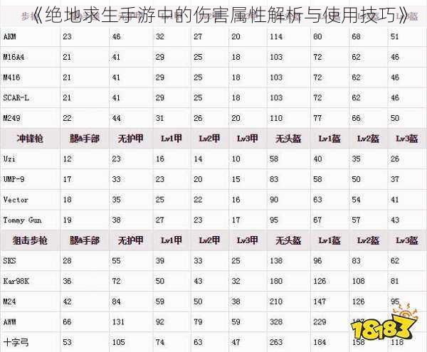 《绝地求生手游中的伤害属性解析与使用技巧》