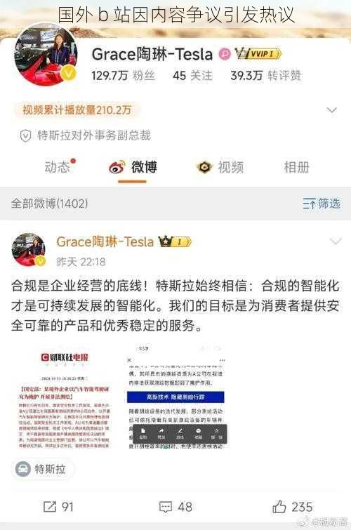 国外 b 站因内容争议引发热议