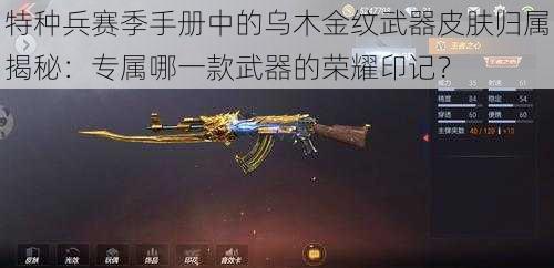 特种兵赛季手册中的乌木金纹武器皮肤归属揭秘：专属哪一款武器的荣耀印记？